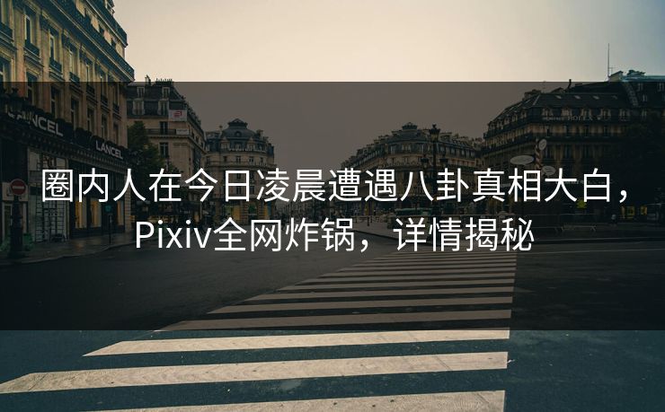 圈内人在今日凌晨遭遇八卦真相大白，Pixiv全网炸锅，详情揭秘