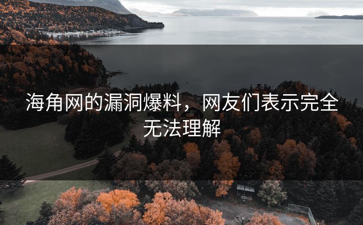 海角网的漏洞爆料，网友们表示完全无法理解