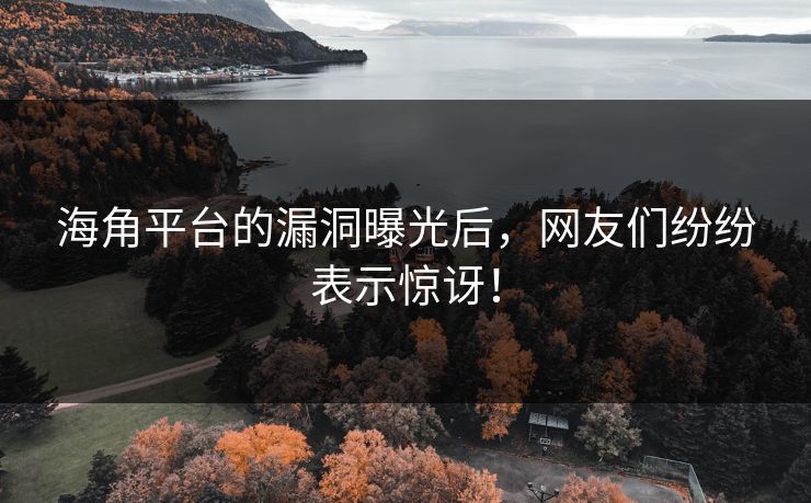 海角平台的漏洞曝光后，网友们纷纷表示惊讶！