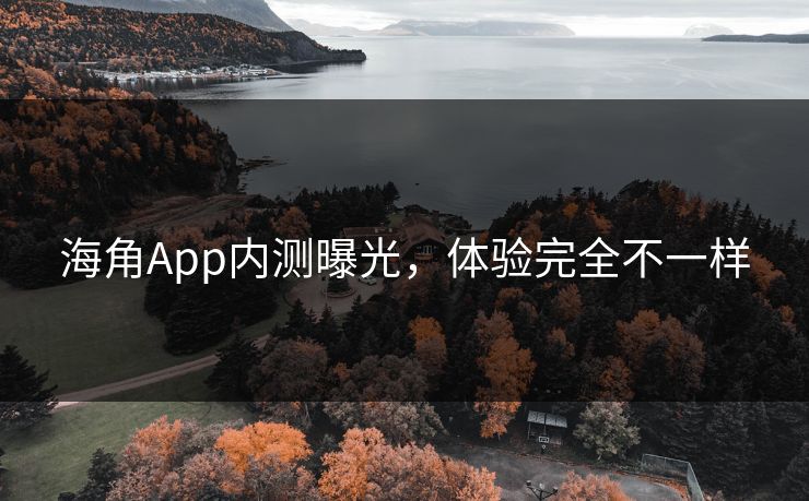 海角App内测曝光，体验完全不一样