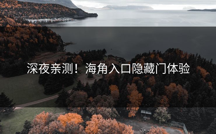 深夜亲测！海角入口隐藏门体验