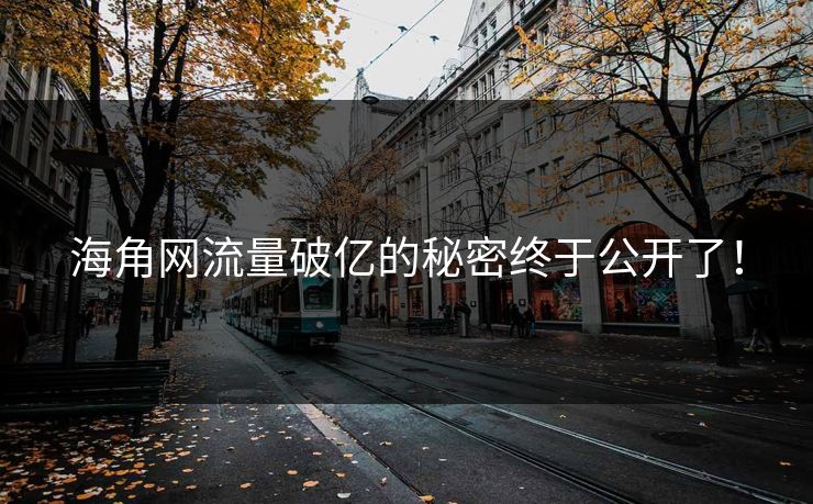 海角网流量破亿的秘密终于公开了！