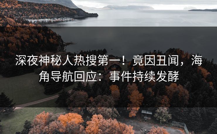 深夜神秘人热搜第一！竟因丑闻，海角导航回应：事件持续发酵