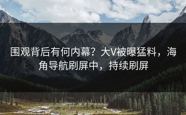 围观背后有何内幕？大V被曝猛料，海角导航刷屏中，持续刷屏