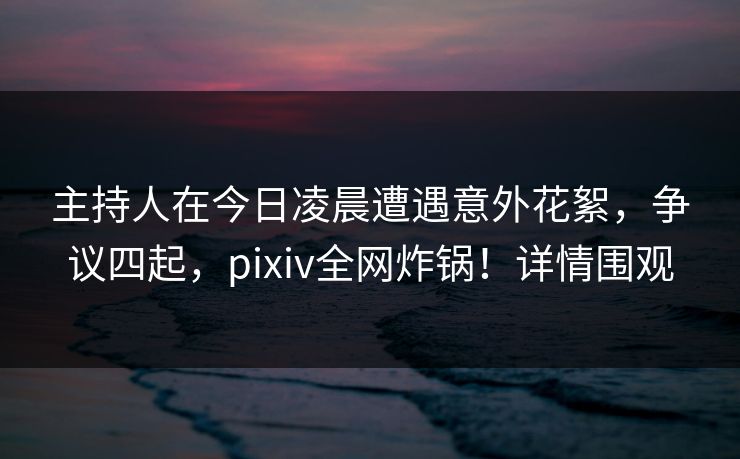 主持人在今日凌晨遭遇意外花絮，争议四起，pixiv全网炸锅！详情围观