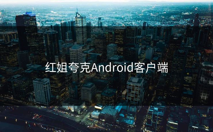 红姐夸克Android客户端
