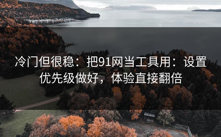 冷门但很稳：把91网当工具用：设置优先级做好，体验直接翻倍