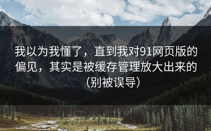 我以为我懂了，直到我对91网页版的偏见，其实是被缓存管理放大出来的（别被误导）